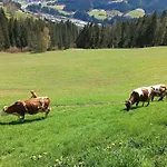 아파트 Niedermaisgut *