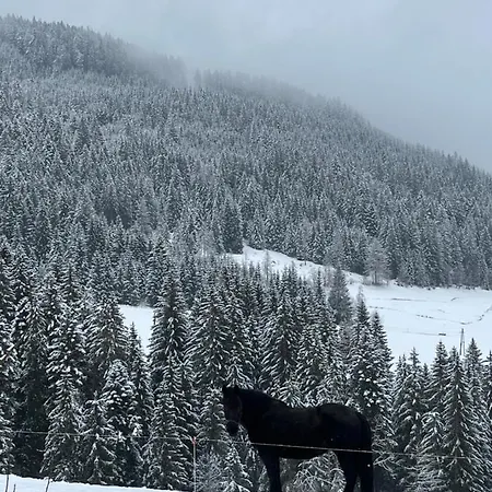 Appartement Niedermaisgut