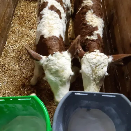 Niedermaisgut * Gasthof