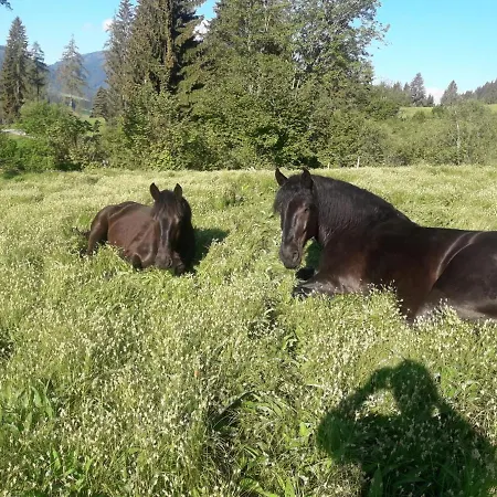 Niedermaisgut شقة