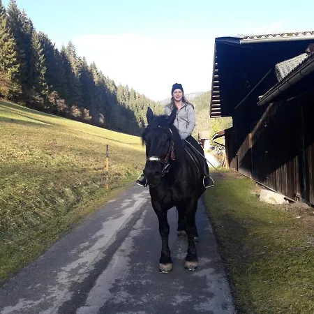 Niedermaisgut Appartement