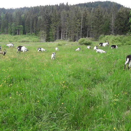 Niedermaisgut * Gasthof