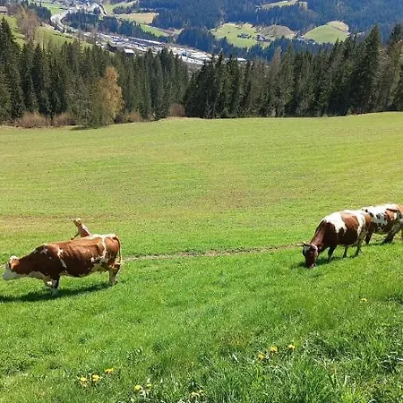 Appartement Niedermaisgut *