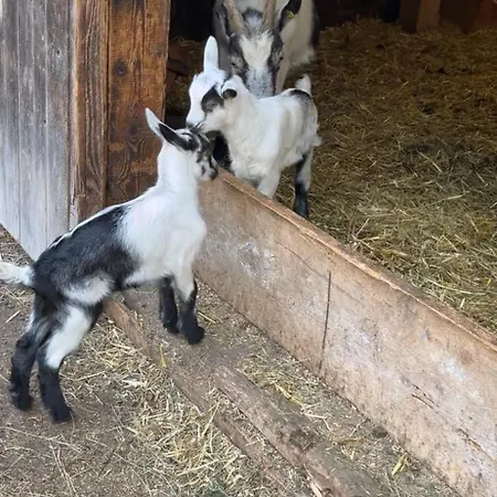 Niedermaisgut Gasthof