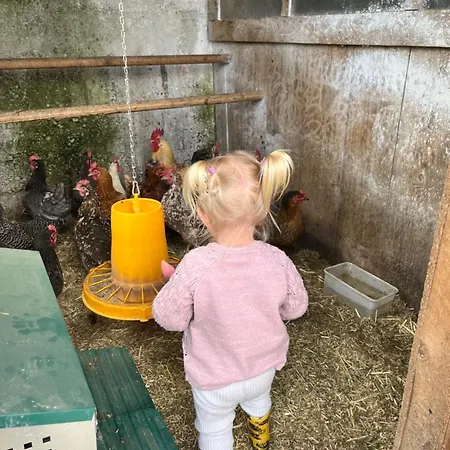 Appartement Niedermaisgut *