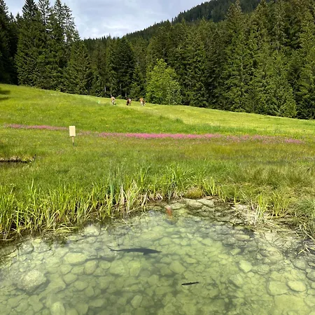 شقة Niedermaisgut *