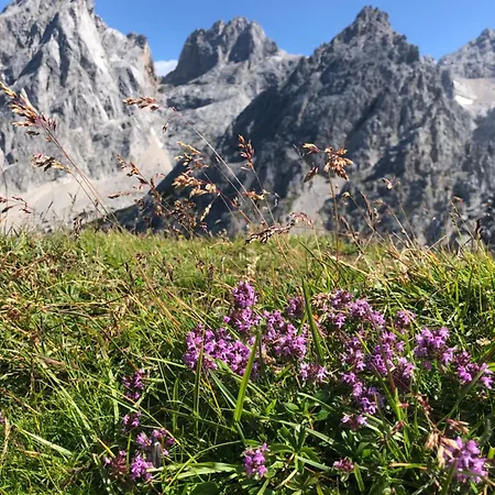 Appartement Niedermaisgut *